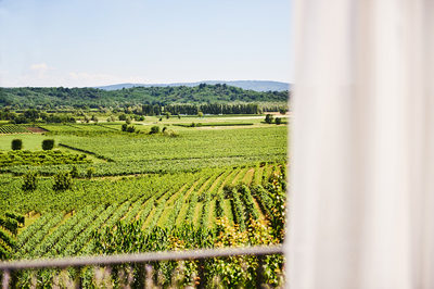wedding_vineyards_slovenia_view_from_the_room